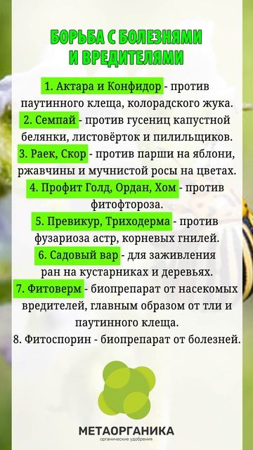Борьба с болезнями и вредителями