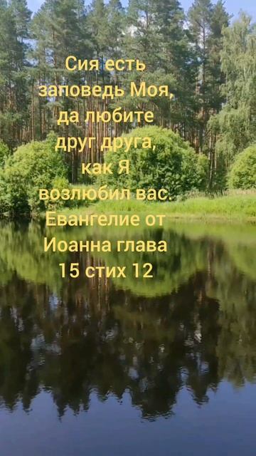 Евангелие от Иоанна глава 15 стих 12