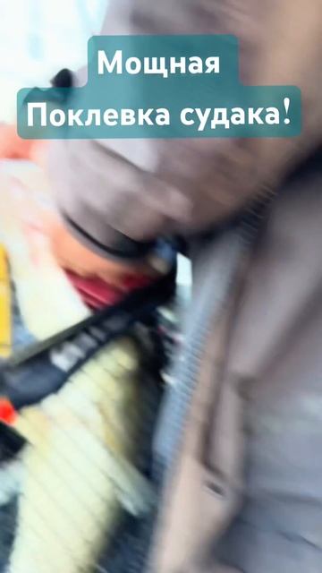 ВОТ ЭТО УЛОВ!!! Спасибо Вуокса!!! #fishing #music #рыбалка #рекомендации, #охотанаГодзиллу#поклевка