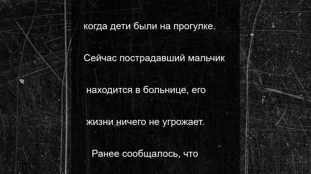 После падения дерева на шестилетнего ребенка в российском детсаду возбудили дело