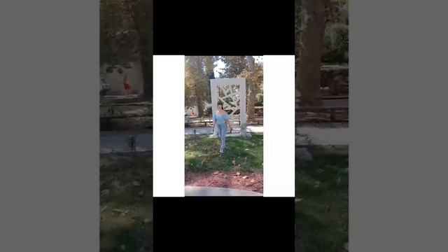 1000025470.mp4