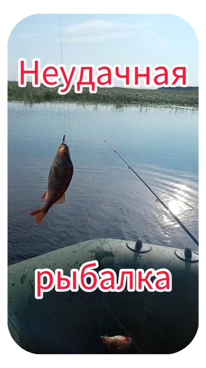 Неудачная рыбалка