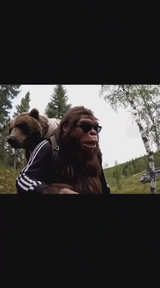 Звериное братство