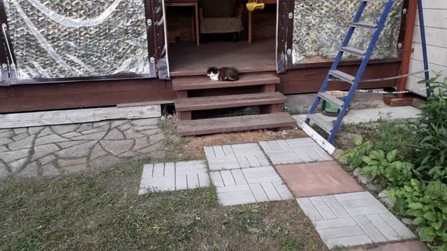 Дача обзор1