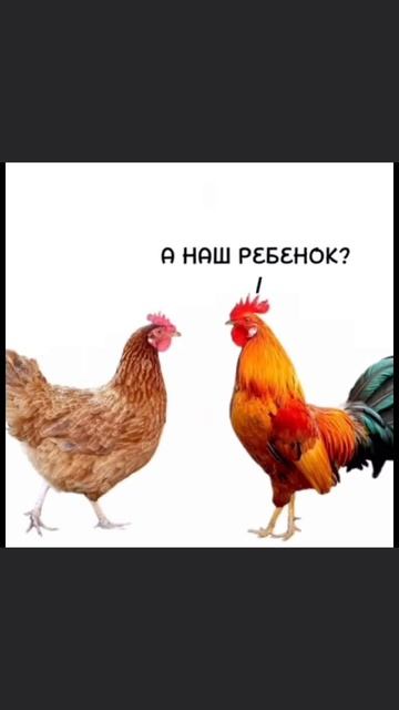 История одной семьи🤣