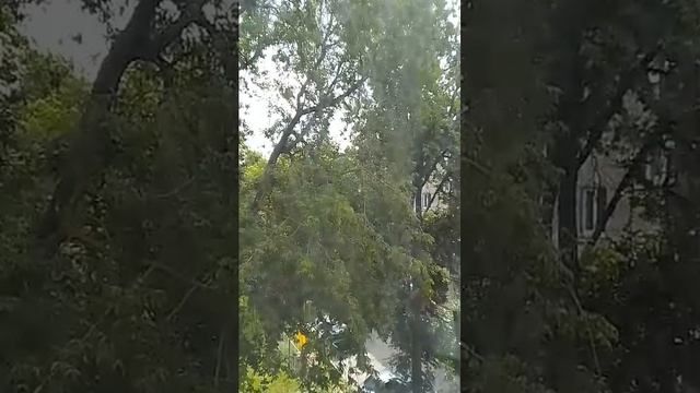 ВЕТЕР