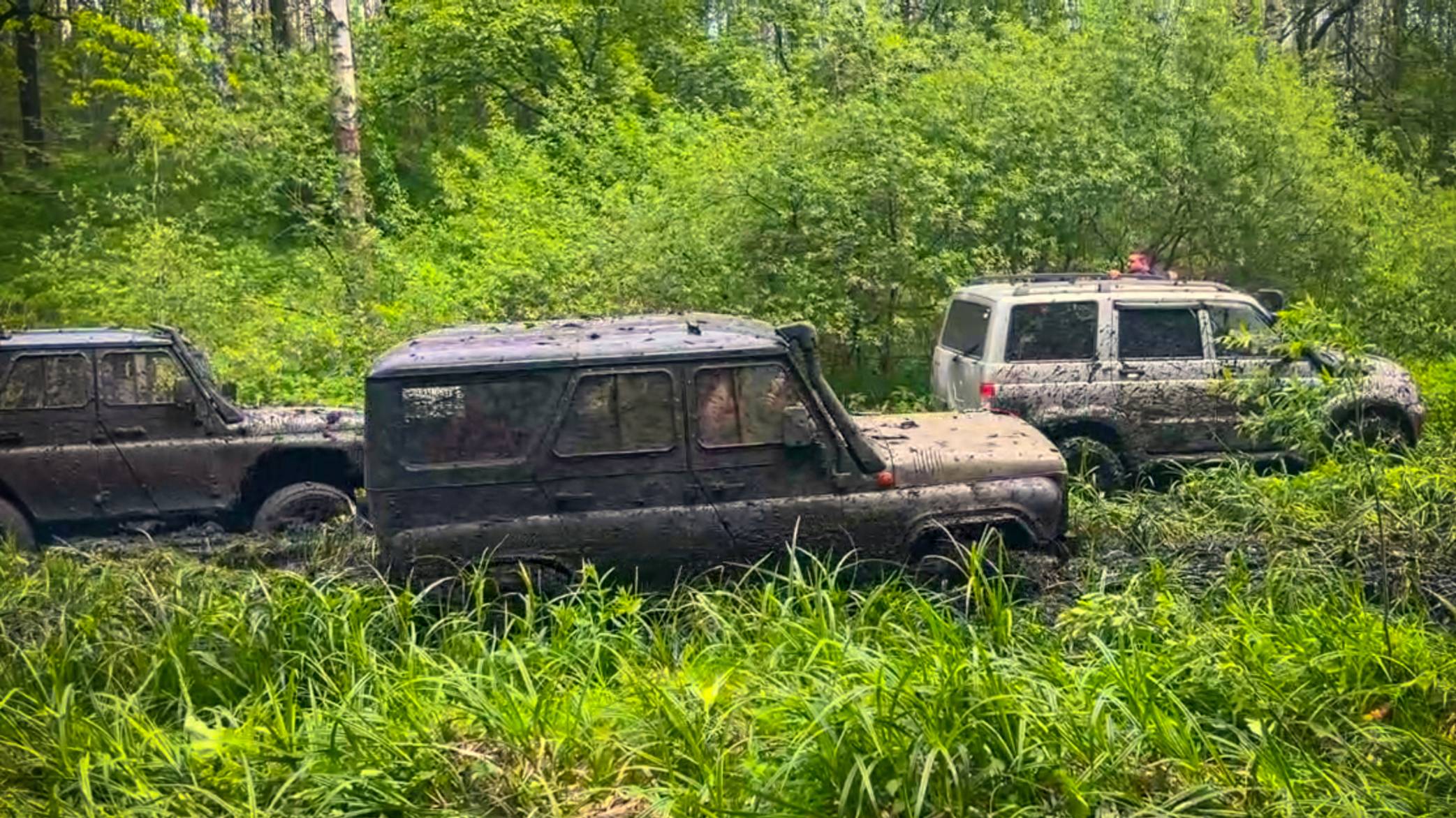 Жёстко раскатали болото