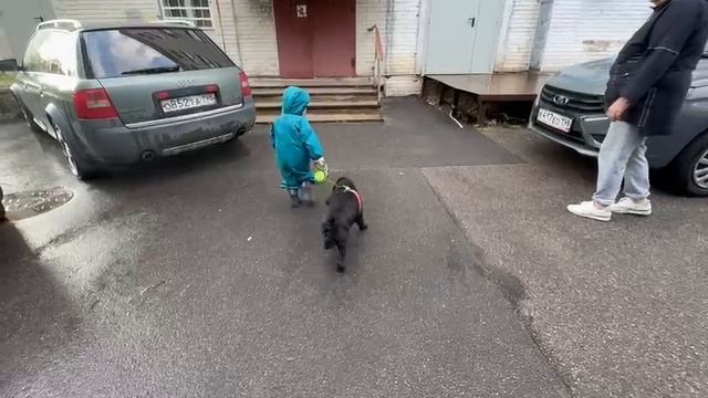Ника и собака.