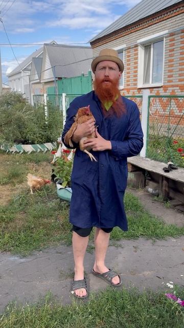 Надоели соседские куры? Ловите лайхак
