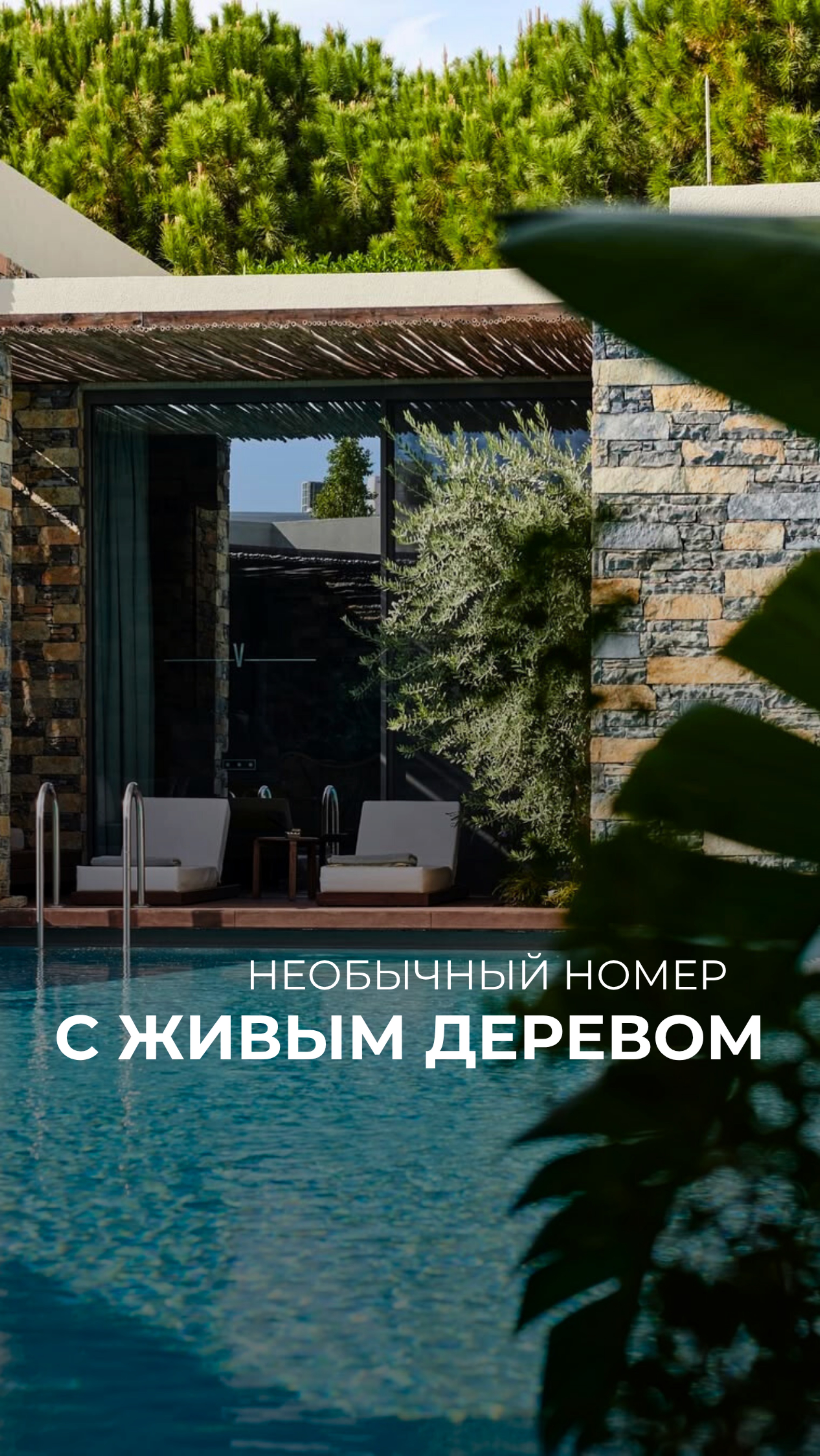 Мальдивы или ?