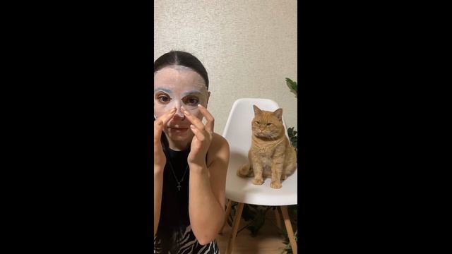 Смешные котики - часть 20