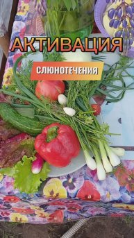 Активация слюнотечения 💯👍