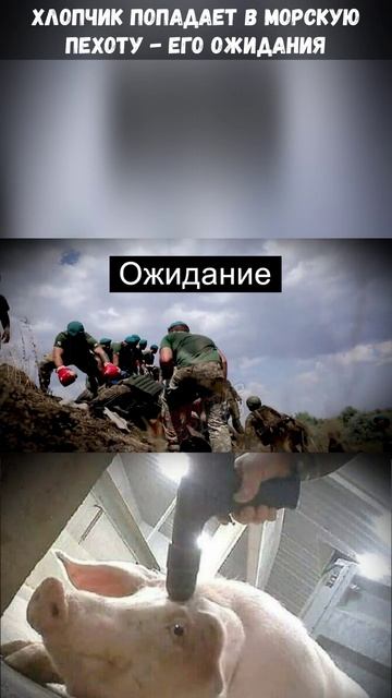 Что происходит в подразделениях морской пехоты свинобоевиков? Смотрите в нашем видео