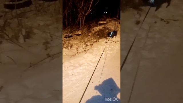 Прогулка зимним вечером