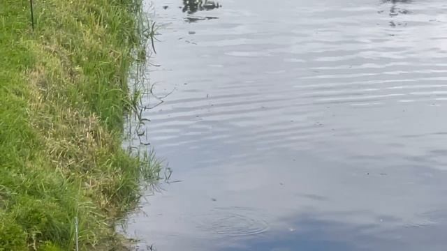 1000091264.mp4