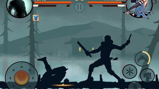 Летний Бой в Shadow Fight 2 № 373