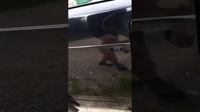 1000012023.mp4