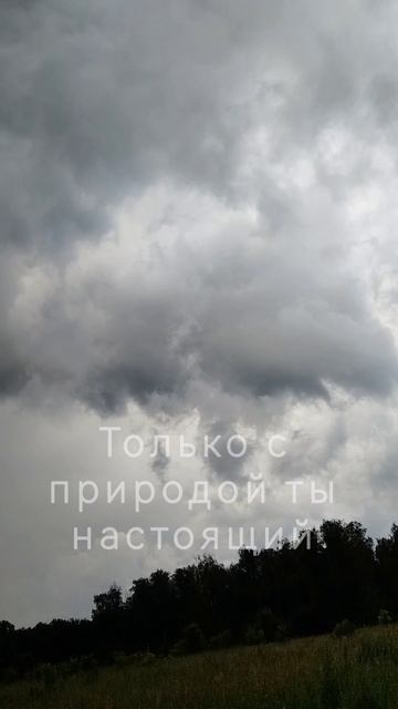 только на природе, каждый найдёт настоящего себя...