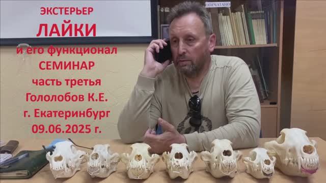 Часть 3. Семинар. Экстерьер ЛАЙКИ и его функционал. Гололобов К.Е. г. Екатеринбург 09.06.2025 г.