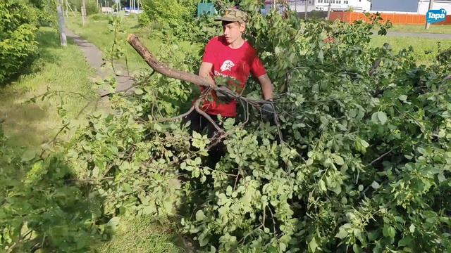 После сильного ветра юные казачки 12 школы навели порядок в памятном месте (26.06.2025)