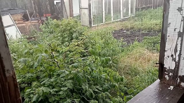 они жалеют что уехали в германию