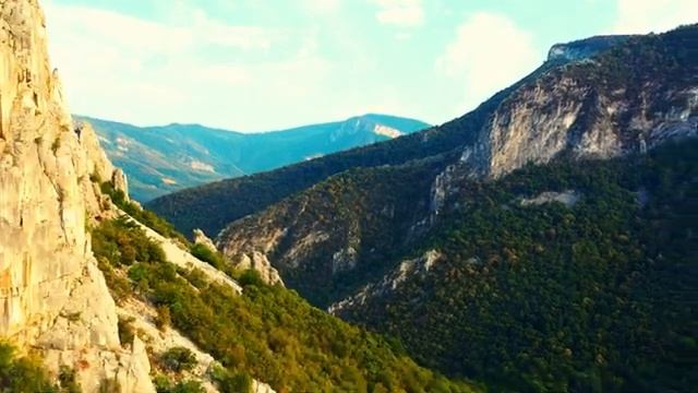 Летящие мечты: история о птицах и их полётах, ч.9