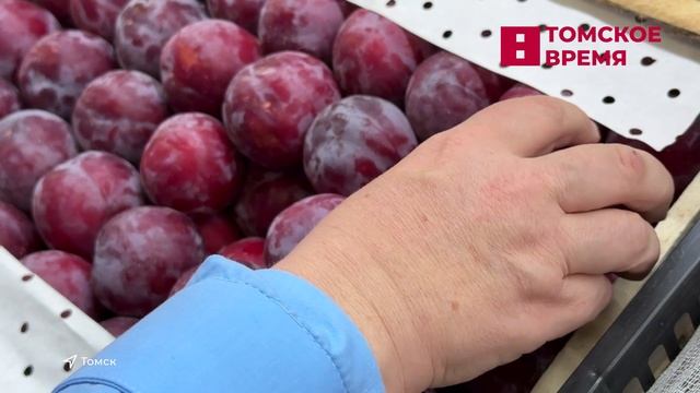 Россельхознадзор продолжает проверять продукты питания