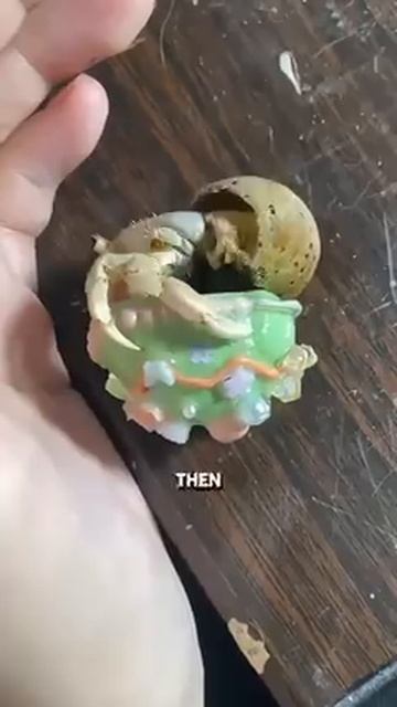 Что реально?!?!😮😮😮😲
