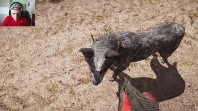 НННАААШШАШЕШЕЁЕЁЁЛЛ ССЕЕАЯАЯАББЕЕЕ ППППССААССААА!!!!! ЭЭТАТАТТОО ФААААРРААА ККРРАЙЙЙ!!! FAR CRY 5!!!