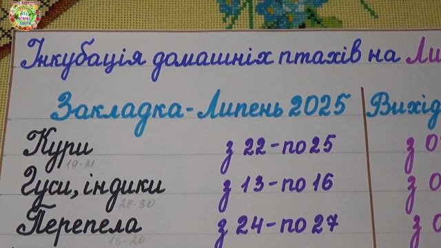 Секреты успешной инкубации домашних птиц в июле 2025