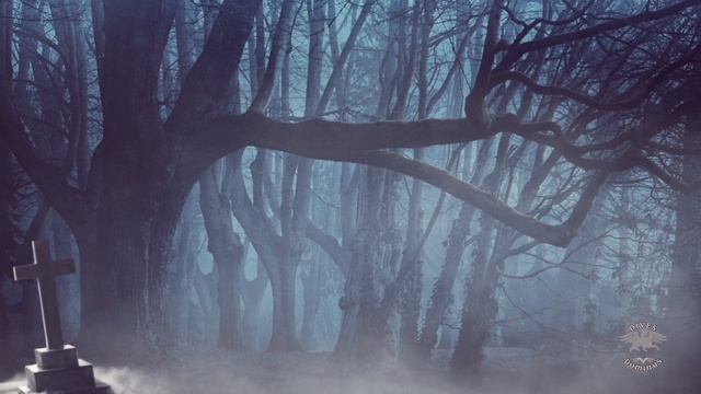 Ambient - Her ghost in the fog