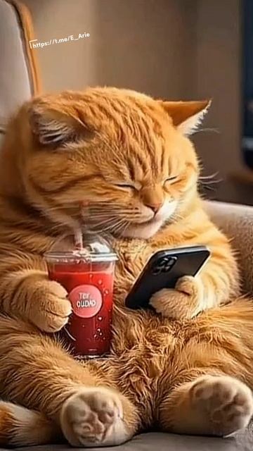 ...😻😅👍