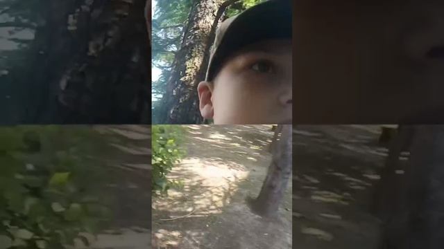 я вам показываю растения