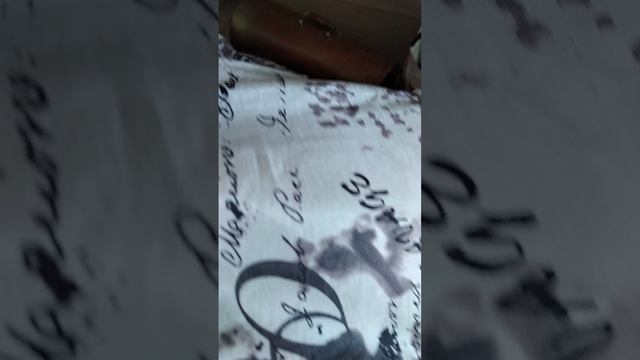 VID_20250626_175408.mp4
