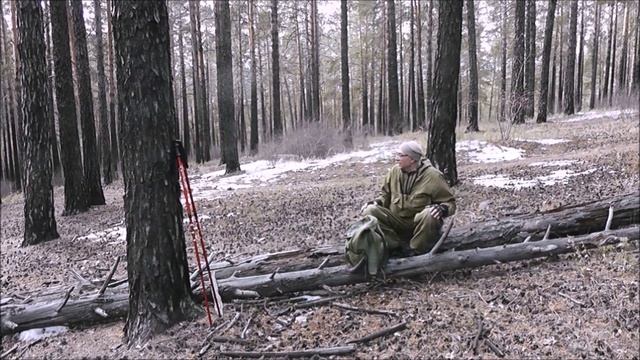 " Весна идёт,  весне дорогу... "