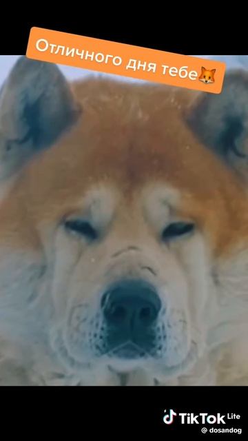 1000000961.mp4