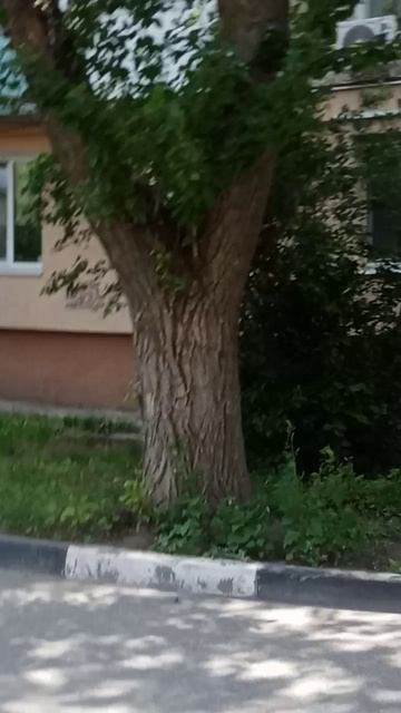 Водопад
