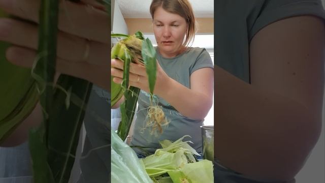 Моя любимая кукурузка пошла🌽