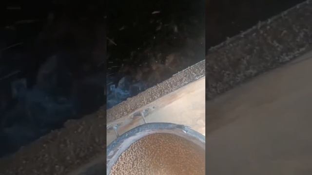 Кормёжка экструдированном кормом.