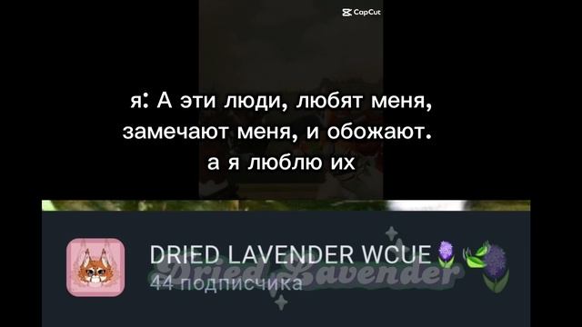 Спасибо вам всем!🪻❤️