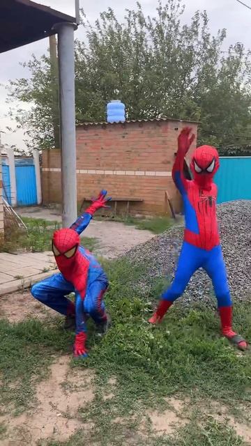 Spiderman vs Spiderman#shorts