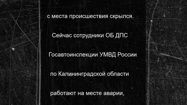 Велосипедист сбил пешехода в Калининграде и скрылся