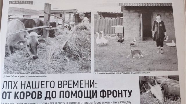 К чему приводить любовь к лошадям?