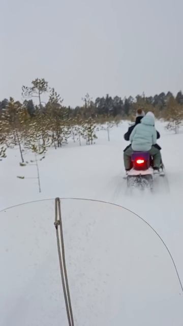 СНЕГОХОДЫ! КАЙФ!