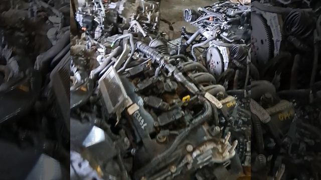 1000271921.mp4 bp