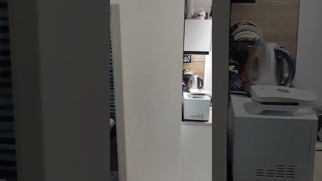 1000102181.mp4