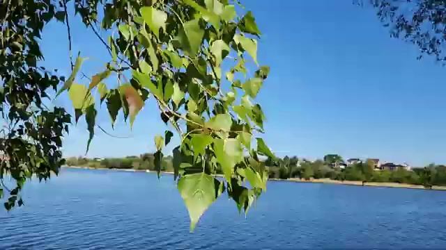 РАСПОГОДИЛАСЬ ПОГОДКА