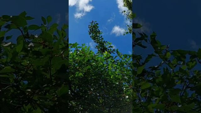 24 июня  прогулка со мной. часть вторая