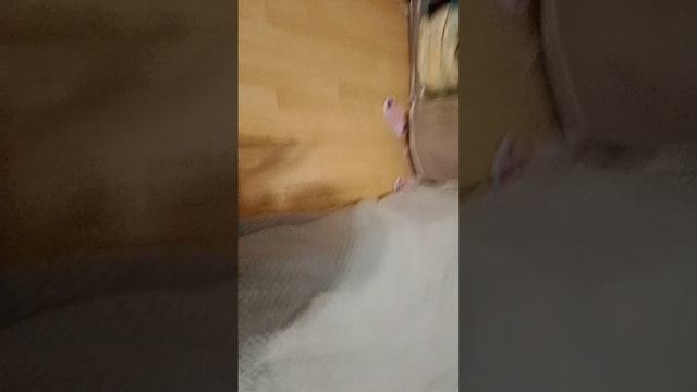 1000042306.mp4
