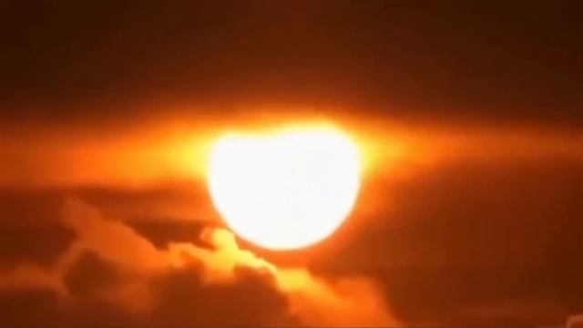 Видео,из-за которого было прекращено производство профессионального фотоаппарата Nikon P1000